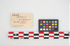 Etikett zu Bronzemehrkopfnadel (NHMW-PRAE-026108)